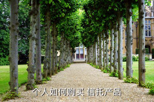 個(gè)人如何購(gòu)買 信托產(chǎn)品