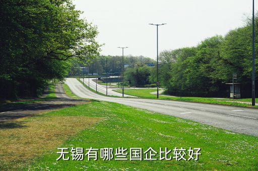 上海醫(yī)藥分銷控股有限公司法人,國(guó)藥控股上海醫(yī)藥有限公司