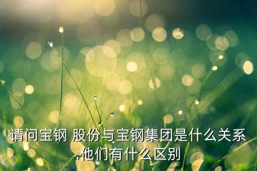 請(qǐng)問寶鋼 股份與寶鋼集團(tuán)是什么關(guān)系.他們有什么區(qū)別