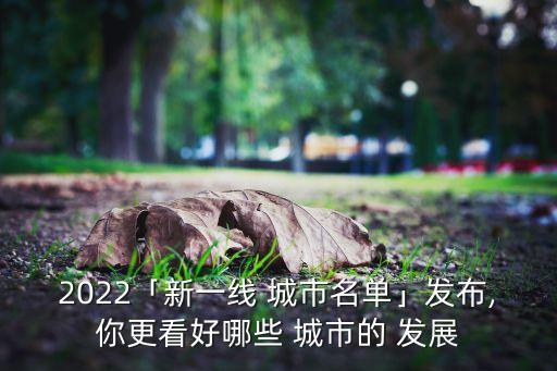 中國發(fā)展比較好的城市,四川發(fā)展比較好的幾個城市