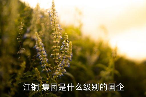  江銅 集團是什么級別的國企