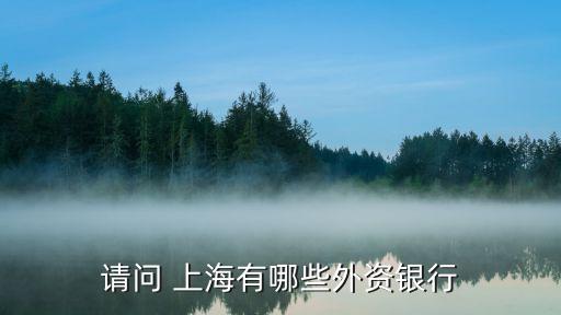 花旗銀行上海陸家嘴支行行長(zhǎng)是誰,上海陸家嘴花旗銀行大廈