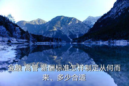 金融 高管 薪酬標(biāo)準(zhǔn)怎樣制定從何而來(lái)、多少合適