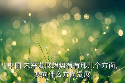 中國(guó) 未來發(fā)展趨勢(shì)有有那幾個(gè)方面,要向什么方向發(fā)展