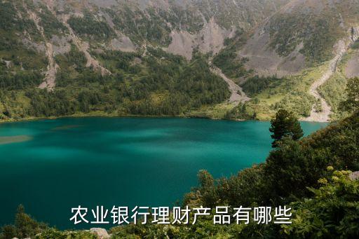  農業(yè)銀行理財產品有哪些