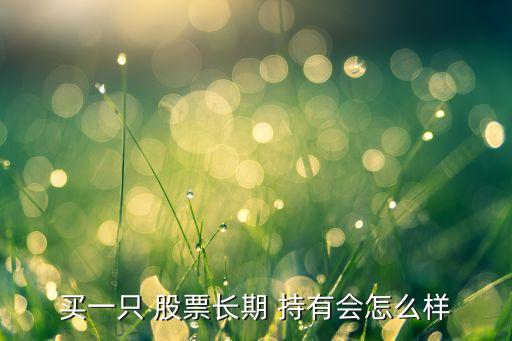 買一只 股票長期 持有會(huì)怎么樣