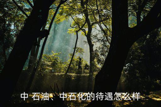 中 石油、中石化的待遇怎么樣