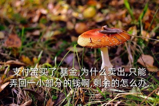 支付寶買了 基金,為什么賣出,只能弄回一小部分的錢(qián)啊,剩余的怎么辦...