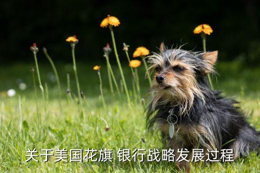 關于美國花旗 銀行戰(zhàn)略發(fā)展過程