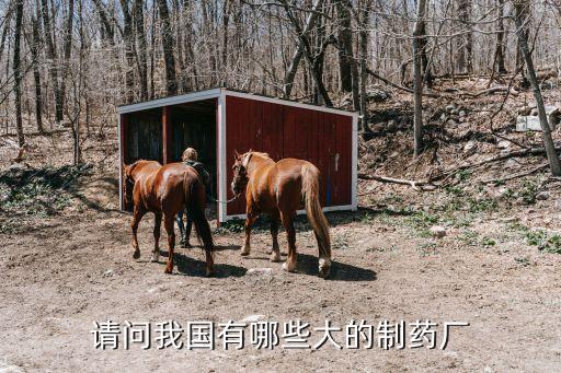 請(qǐng)問(wèn)我國(guó)有哪些大的制藥廠(chǎng)