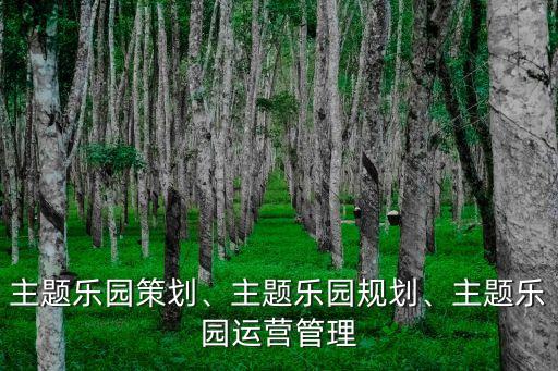 主題樂(lè)園策劃、主題樂(lè)園規(guī)劃、主題樂(lè)園運(yùn)營(yíng)管理
