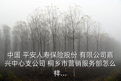 中國 平安人壽保險股份 有限公司嘉興中心支公司 桐鄉(xiāng)市營銷服務部怎么樣...