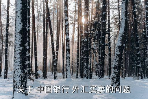 關(guān)于 中國(guó)銀行 外匯買賣的問題