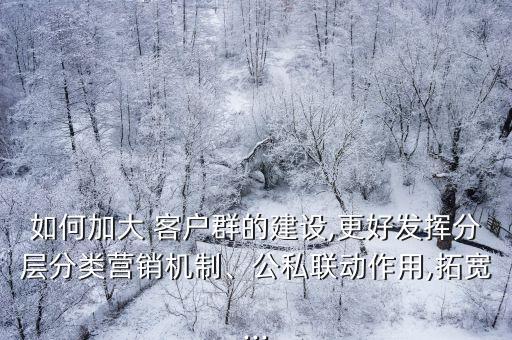 如何加大 客戶群的建設(shè),更好發(fā)揮分層分類營銷機(jī)制、公私聯(lián)動(dòng)作用,拓寬...