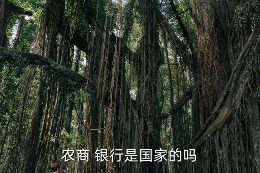 哪一級銀行屬于獨(dú)立法人