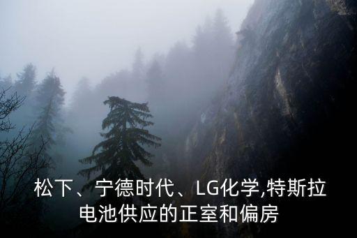  松下、寧德時代、LG化學,特斯拉電池供應(yīng)的正室和偏房