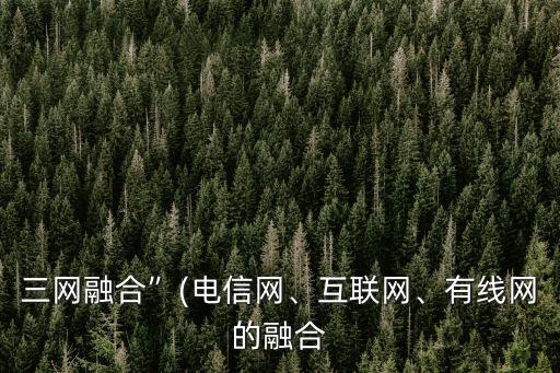 三網(wǎng)融合”(電信網(wǎng)、互聯(lián)網(wǎng)、有線網(wǎng)的融合