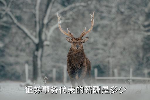  證券事務代表的薪酬是多少