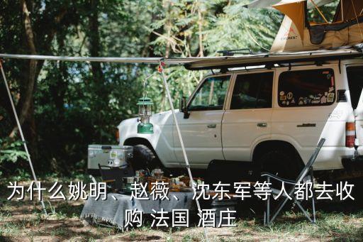 為什么姚明、趙薇、沈東軍等人都去收購 法國 酒莊