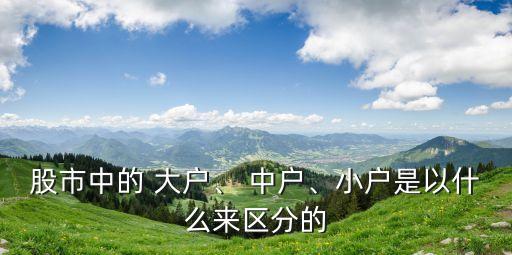股市中的 大戶、 中戶、小戶是以什么來區(qū)分的