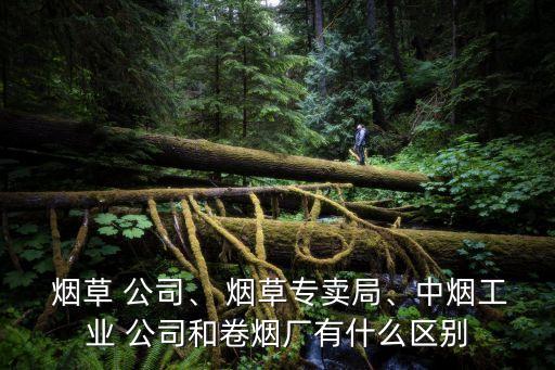  煙草 公司、 煙草專賣局、中煙工業(yè) 公司和卷煙廠有什么區(qū)別