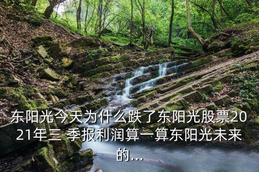 東陽光今天為什么跌了東陽光股票2021年三 季報(bào)利潤(rùn)算一算東陽光未來的...