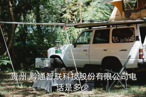  貴州 黔通智聯科技股份有限公司電話是多少