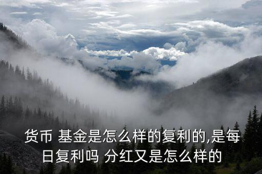  貨幣 基金是怎么樣的復利的,是每日復利嗎 分紅又是怎么樣的