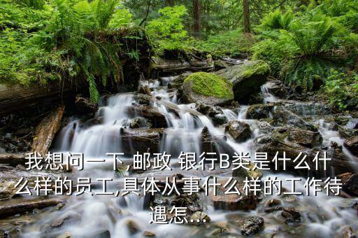 我想問(wèn)一下,郵政 銀行B類(lèi)是什么什么樣的員工,具體從事什么樣的工作待遇怎...