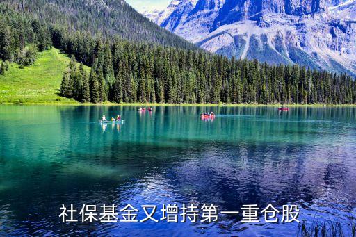  社?；鹩衷龀值谝恢貍}股