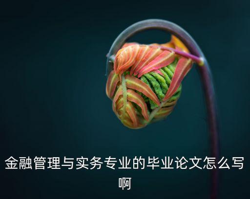 商業(yè)銀行信息化建設研究