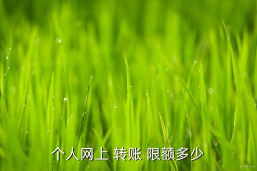 個人網上 轉賬 限額多少