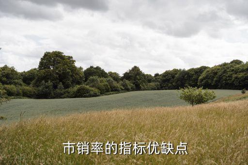 市銷(xiāo)率股票,股票市銷(xiāo)率是什么意思