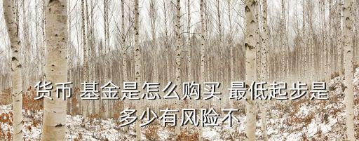  貨幣 基金是怎么購(gòu)買(mǎi) 最低起步是多少有風(fēng)險(xiǎn)不