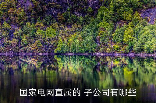 國家電網直屬的 子公司有哪些