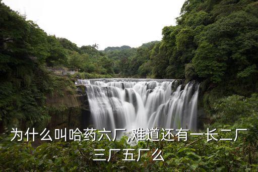 為什么叫哈藥六廠,難道還有一長二廠三廠五廠么