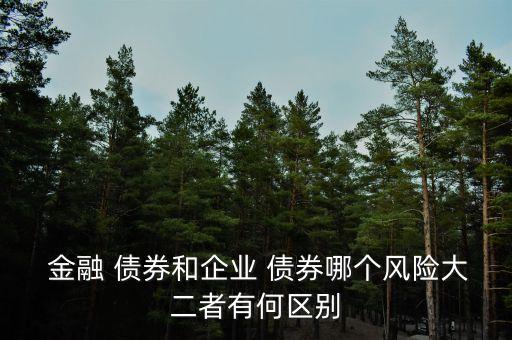  金融 債券和企業(yè) 債券哪個風(fēng)險(xiǎn)大二者有何區(qū)別