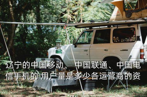 遼寧的中國移動、 中國聯(lián)通、中國電信手機的 用戶量是多少各運營商的資...