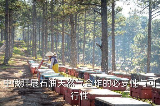 中俄開(kāi)展石油天然氣合作的必要性與可行性