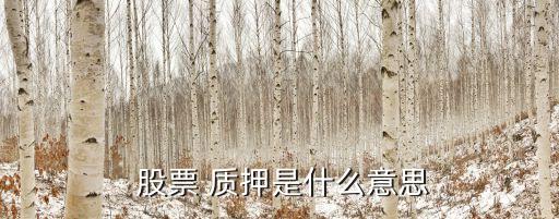  股票 質押是什么意思