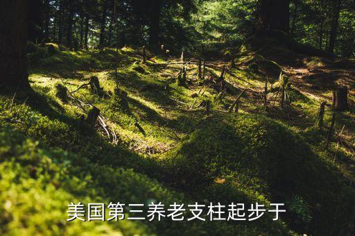 美國個(gè)人儲蓄包括股票嗎