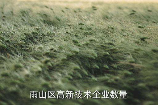 雨山區(qū)高新技術企業(yè)數量