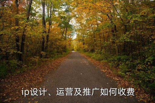  ip設(shè)計(jì)、運(yùn)營(yíng)及推廣如何收費(fèi)
