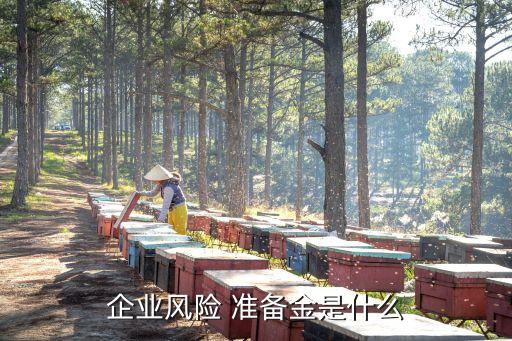 企業(yè)風(fēng)險 準備金是什么