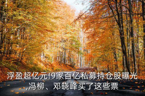 浮盈超億元!9家百億私募持倉(cāng)股曝光,馮柳、鄧曉峰買(mǎi)了這些票