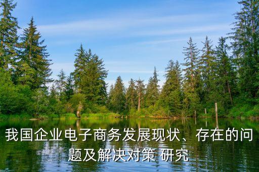 我國企業(yè)電子商務發(fā)展現(xiàn)狀、存在的問題及解決對策 研究