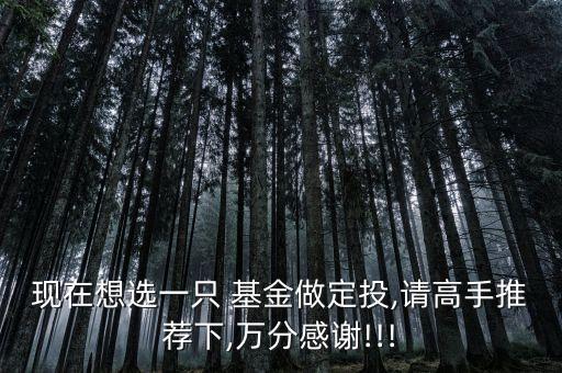 瑞福進(jìn)取基金,瑞?；鸸?/></a></span><span id=