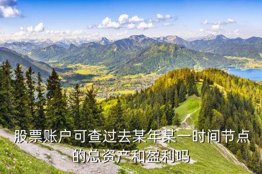  股票賬戶可查過去某年某一時間節(jié)點的總資產(chǎn)和盈利嗎