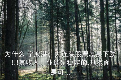 為什么 寧波港、大連港股票總是下跌!!!其收入、業(yè)績是穩(wěn)定的,基本面是可...
