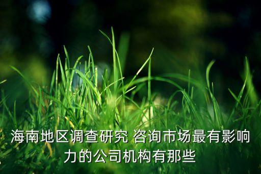 海南地區(qū)調(diào)查研究 咨詢市場最有影響力的公司機(jī)構(gòu)有那些